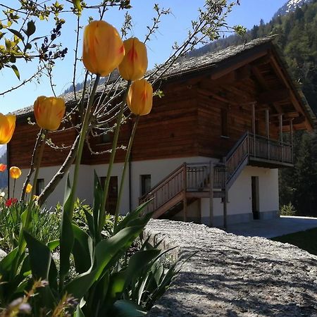 B&B Lorelei Gressoney-Saint-Jean Eksteriør billede