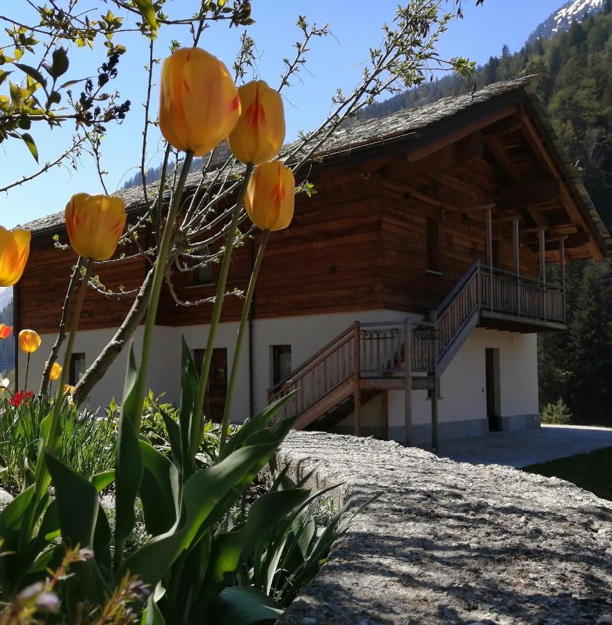 B&B Lorelei Gressoney-Saint-Jean Eksteriør billede